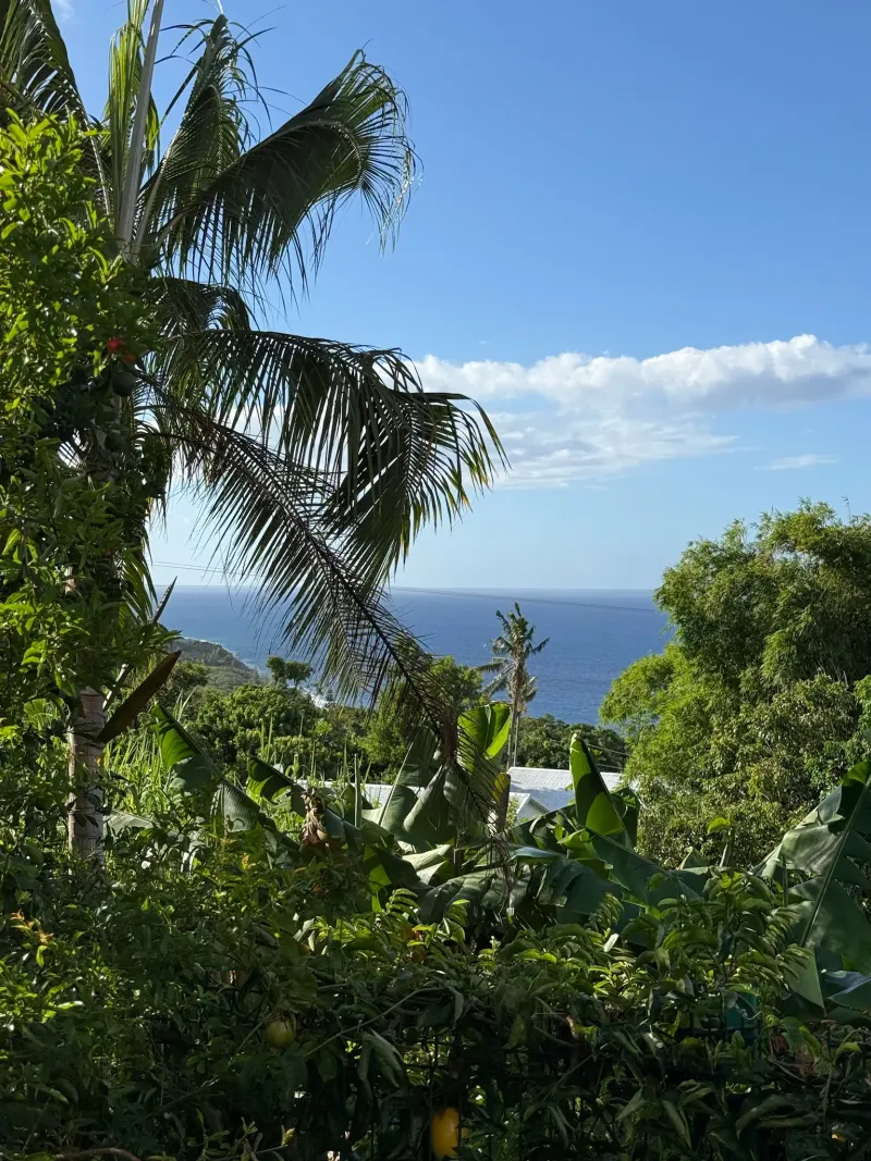 Fruits de la passion jardin Villa Bigaradier La Réunion