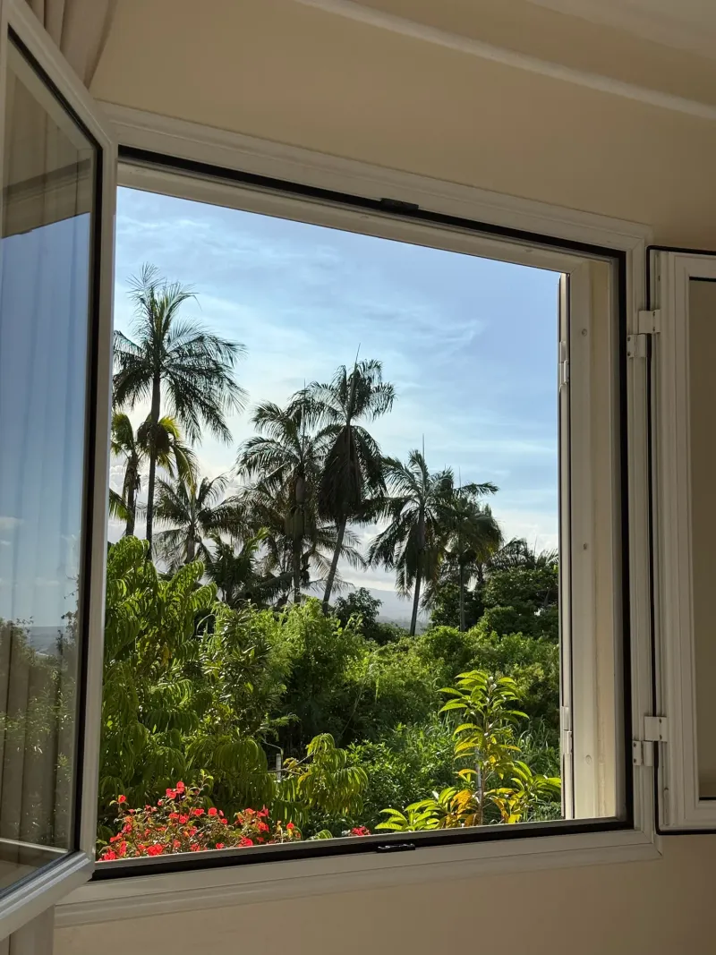 Végétation tropicale jardin 500m² Villa Bigaradier Réunion