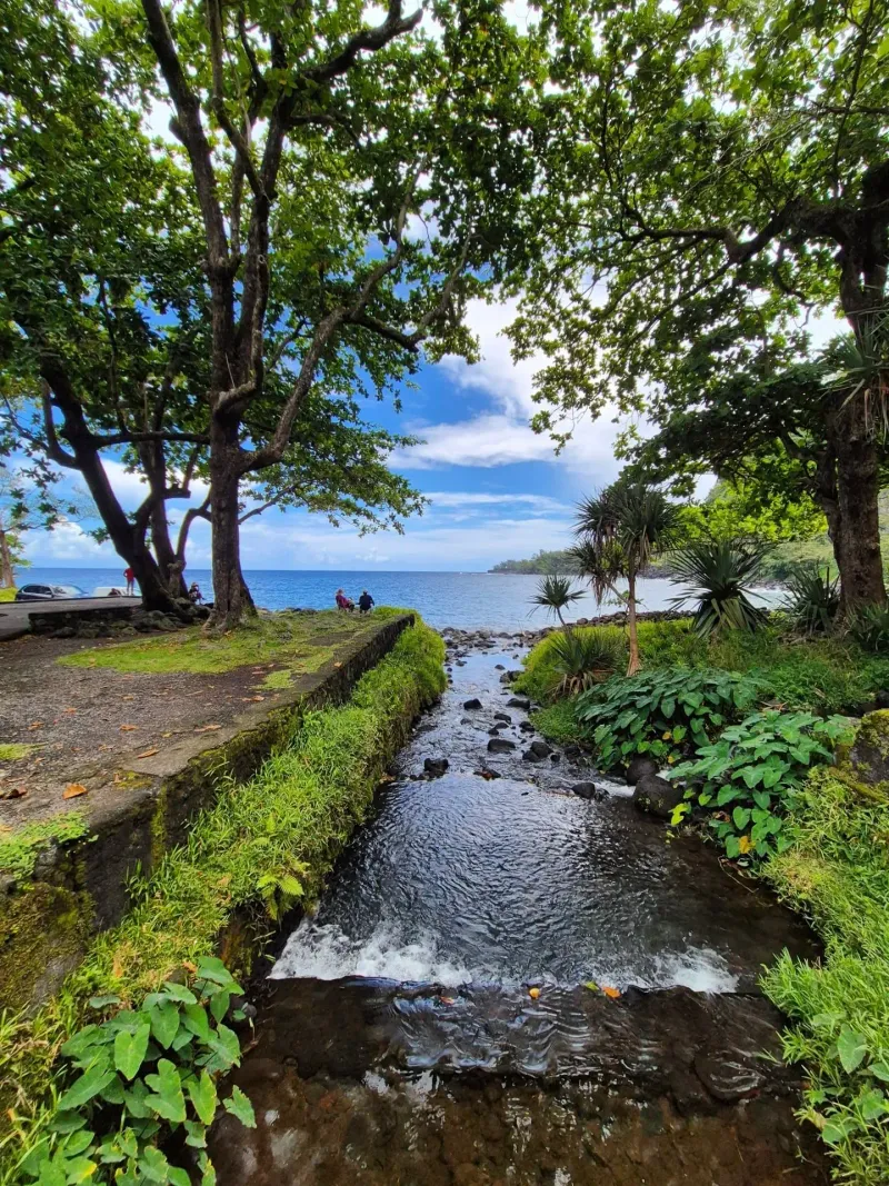 Anse des Cascades Sainte-Rose île de la Réunion