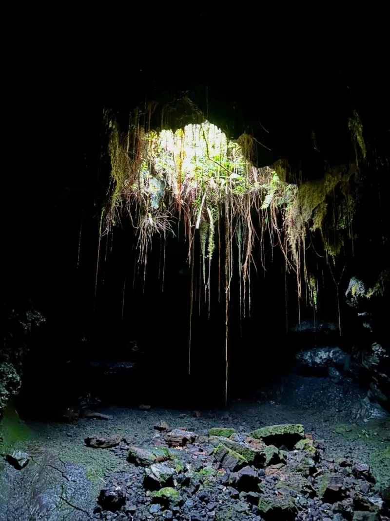 Tunnel de lave visite Sainte-Rose La Réunion