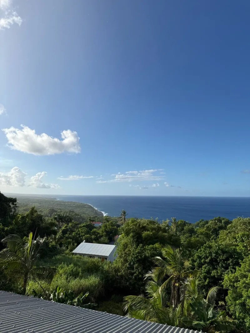 Vue Océan Indien depuis terrasse Villa Bigaradier côte Est Réunion
